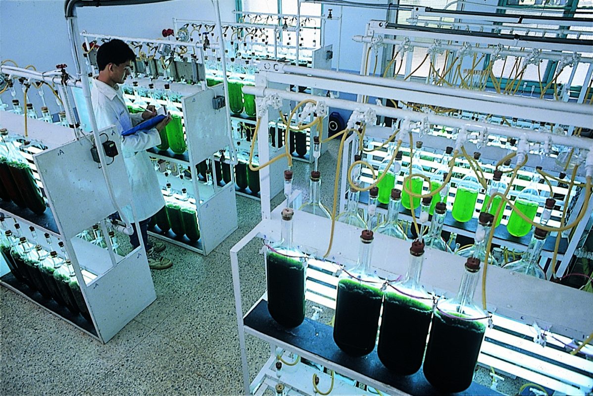 Yvan Leclercq de Nutriphys: la transmission comme leitmotiv