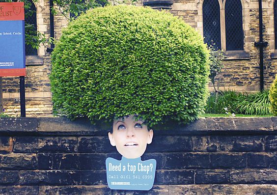 need a top chop need a top chop