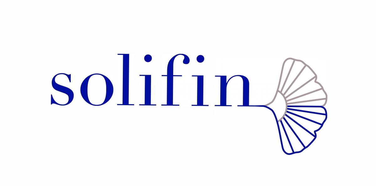 logo solifin logo solifin