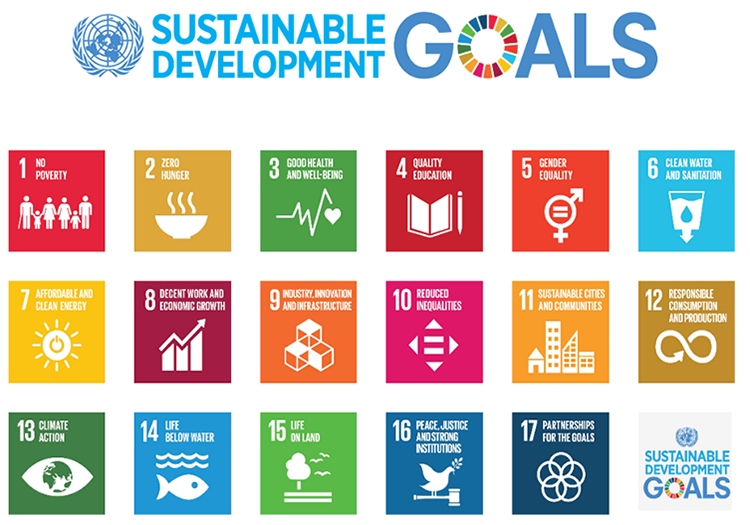 SDG chart